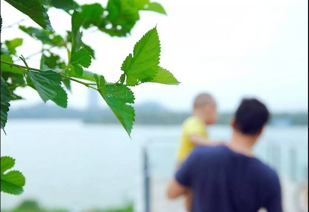 【钢城文苑】谢谢你,2019温暖了汉钢 【钢城文苑】谢谢你,2019温暖了汉钢