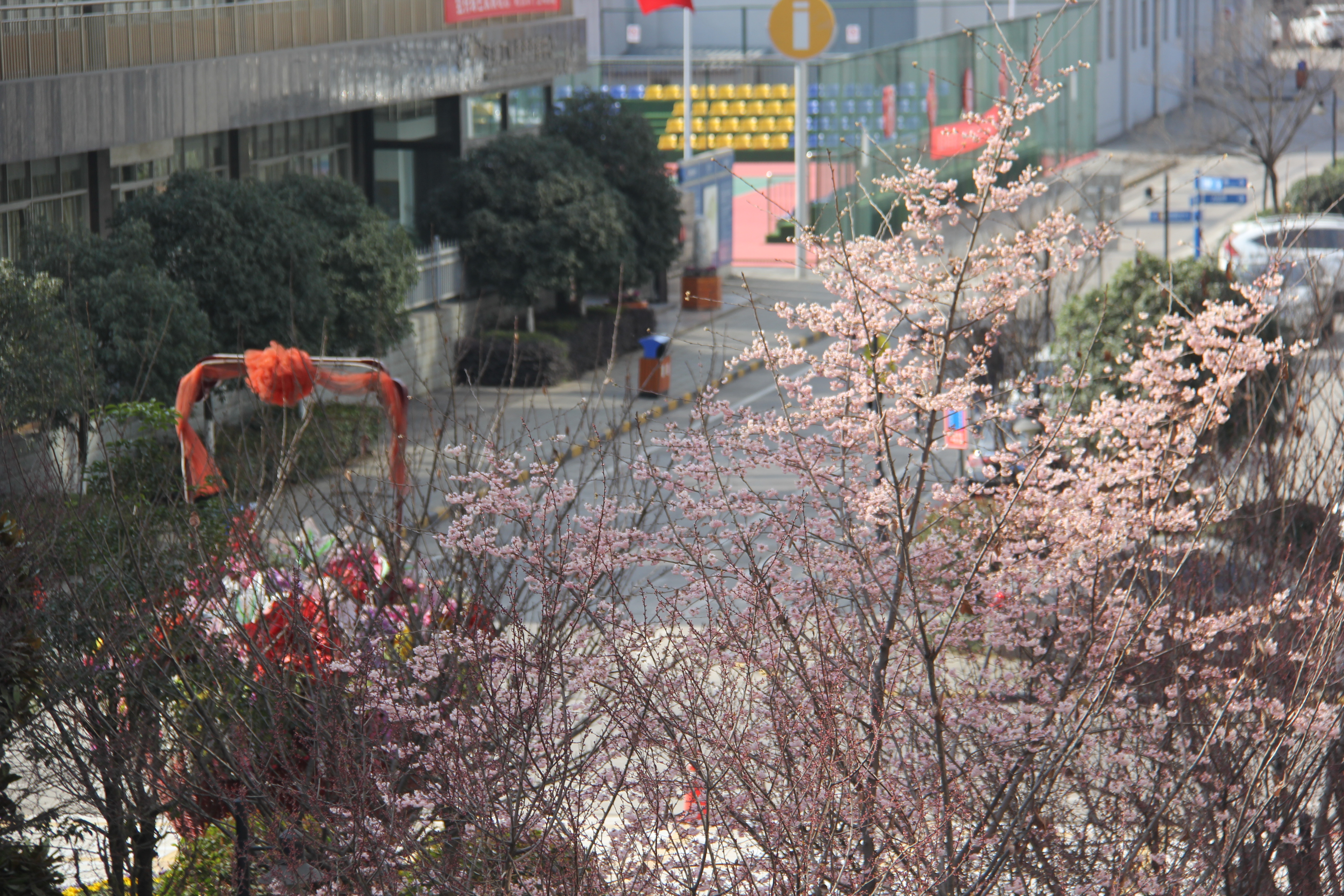 【美丽汉钢】没有一个冬天不可逾越 没有一个春天不会到来 【美丽汉钢】没有一个冬天不可逾越 没有一个春天不会到来