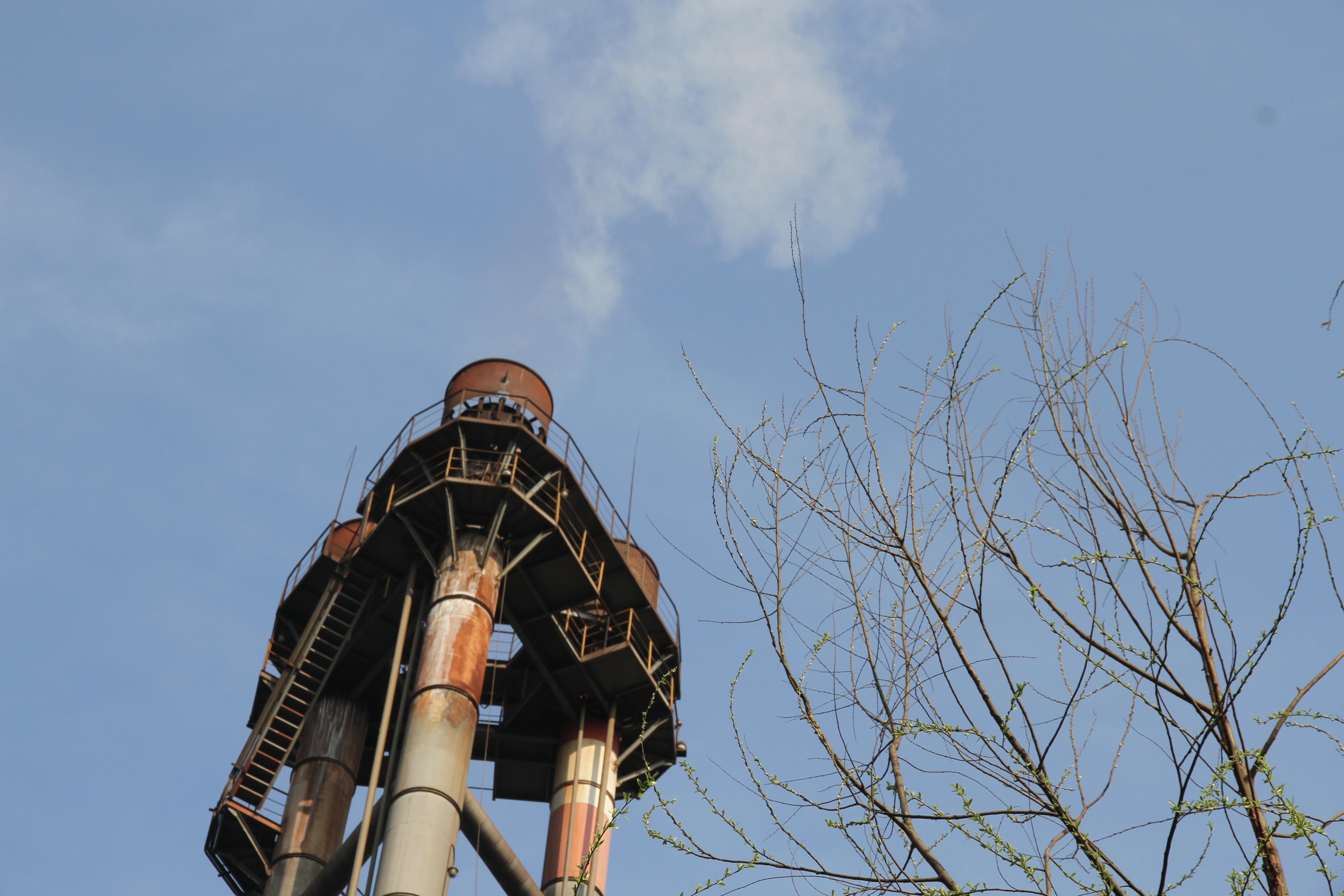 【美丽汉钢】春满钢城，愿疫情荡涤