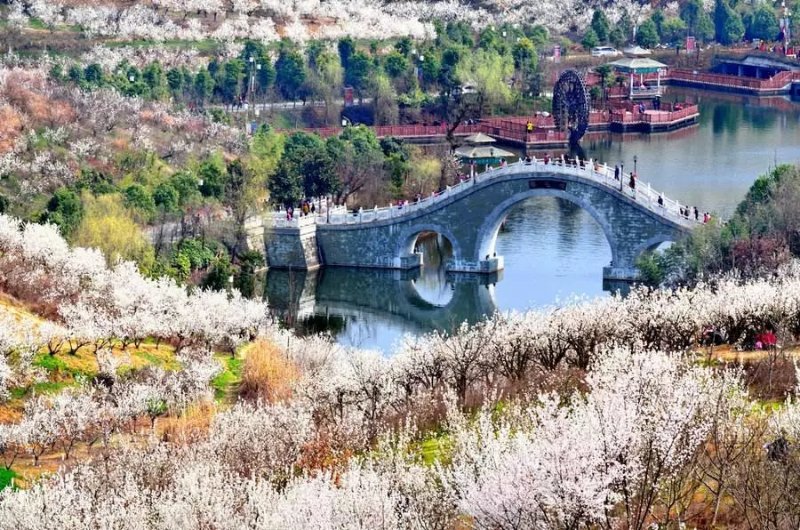 【钢城文苑】我想和你在这春天里有个约会 【钢城文苑】我想和你在这春天里有个约会