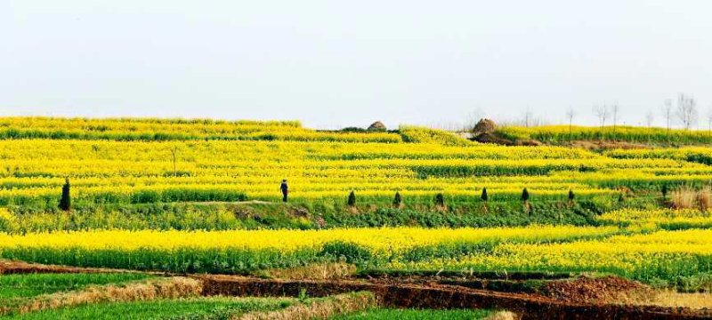 【钢城文苑】我想和你在这春天里有个约会 【钢城文苑】我想和你在这春天里有个约会