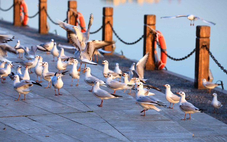 【钢城文苑】我想和你在这春天里有个约会