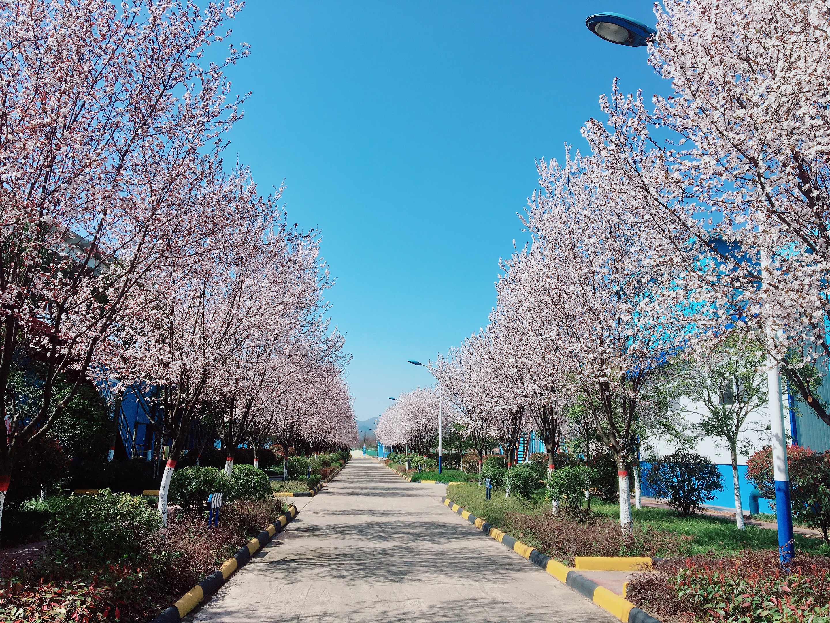 【钢城文苑】你见过这么美的钢厂吗？