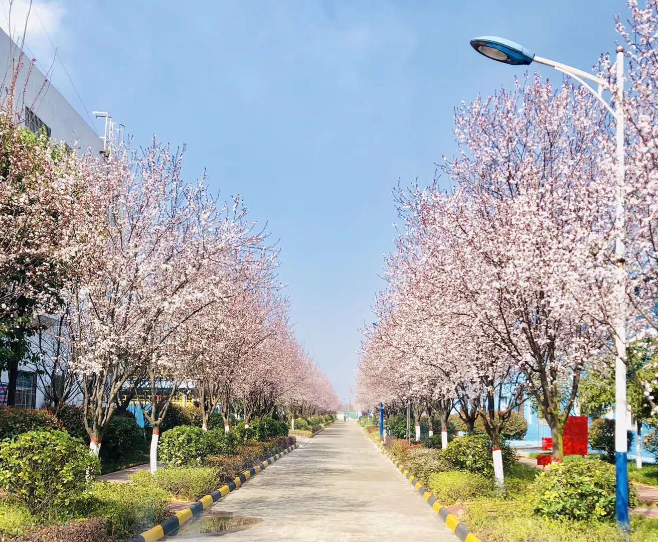 【钢城文苑】你见过这么美的钢厂吗? 【钢城文苑】你见过这么美的钢厂吗?