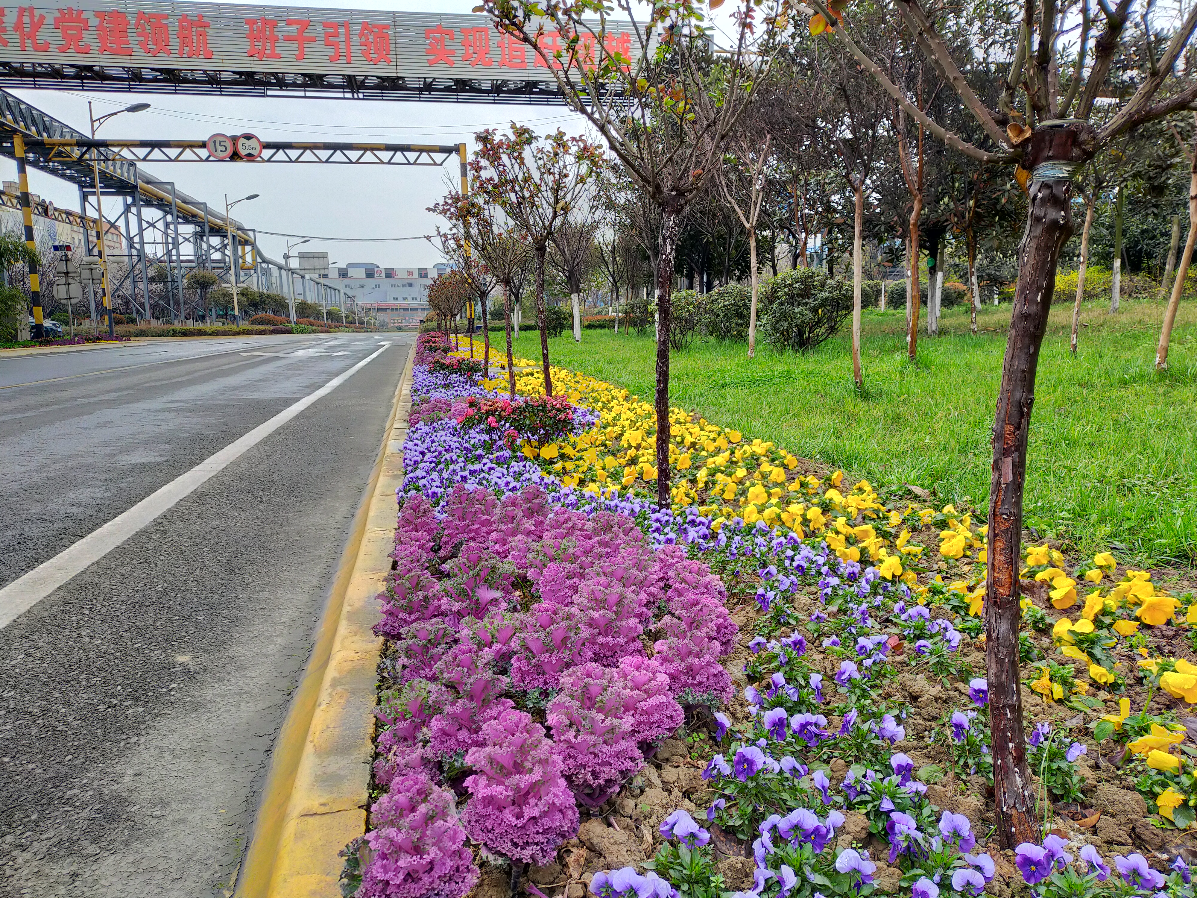 【美丽汉钢】汉钢踏春赏花图鉴 【美丽汉钢】汉钢踏春赏花图鉴