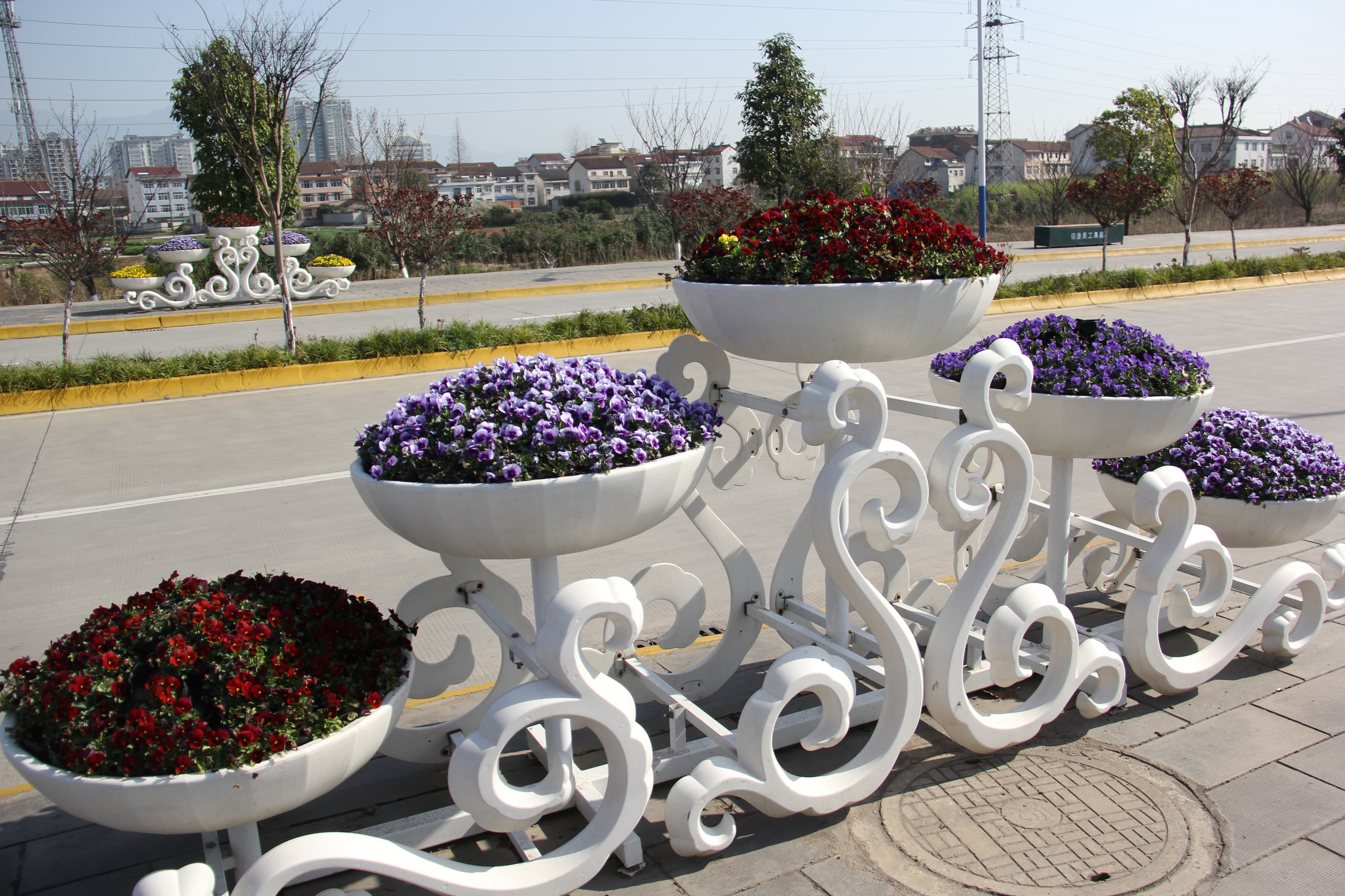 【美丽汉钢】春花春草春意浓  钢城三月春如画