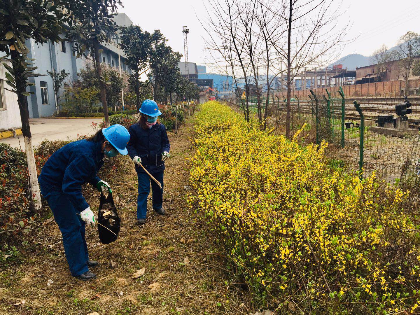 【美丽汉钢】春花春草春意浓 钢城三月春如画 【美丽汉钢】春花春草春意浓 钢城三月春如画