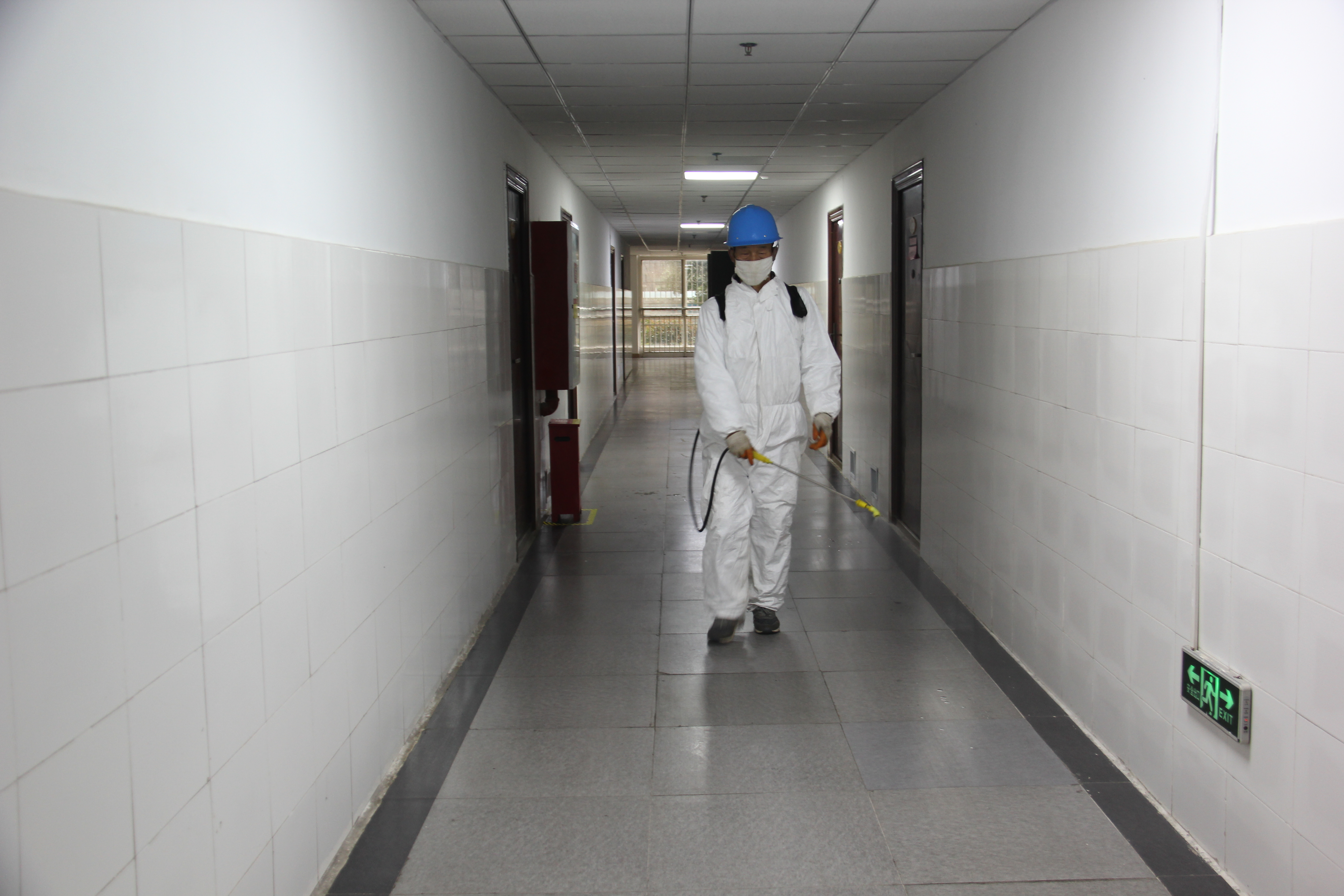 【美丽汉钢】春花春草春意浓  钢城三月春如画