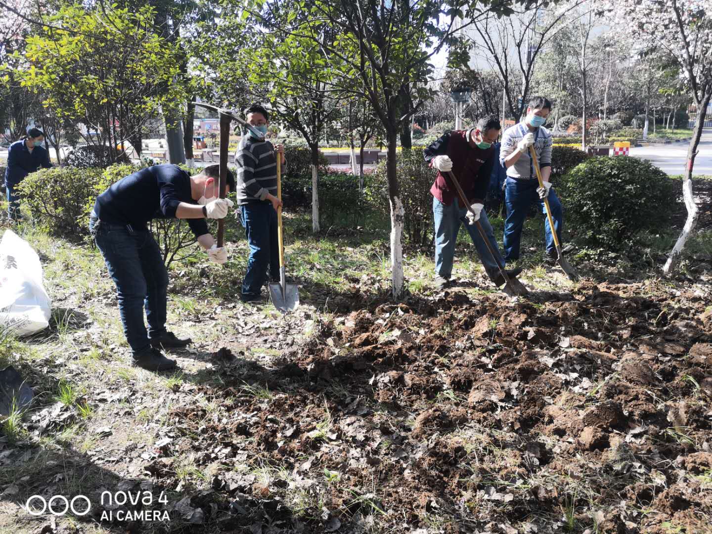 【美丽汉钢】公司春季绿化美化工作开展如火如荼 【美丽汉钢】公司春季绿化美化工作开展如火如荼
