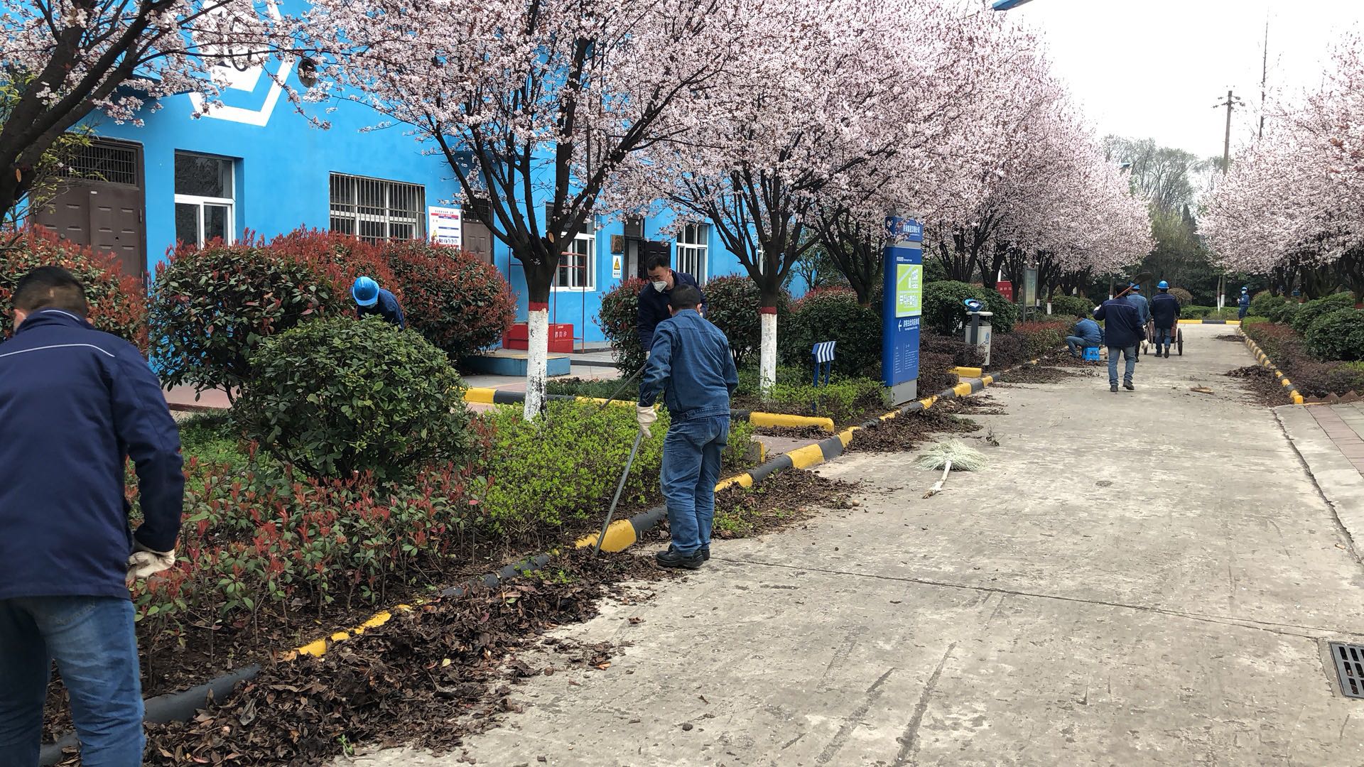 【美丽汉钢】公司春季绿化美化工作开展如火如荼 【美丽汉钢】公司春季绿化美化工作开展如火如荼