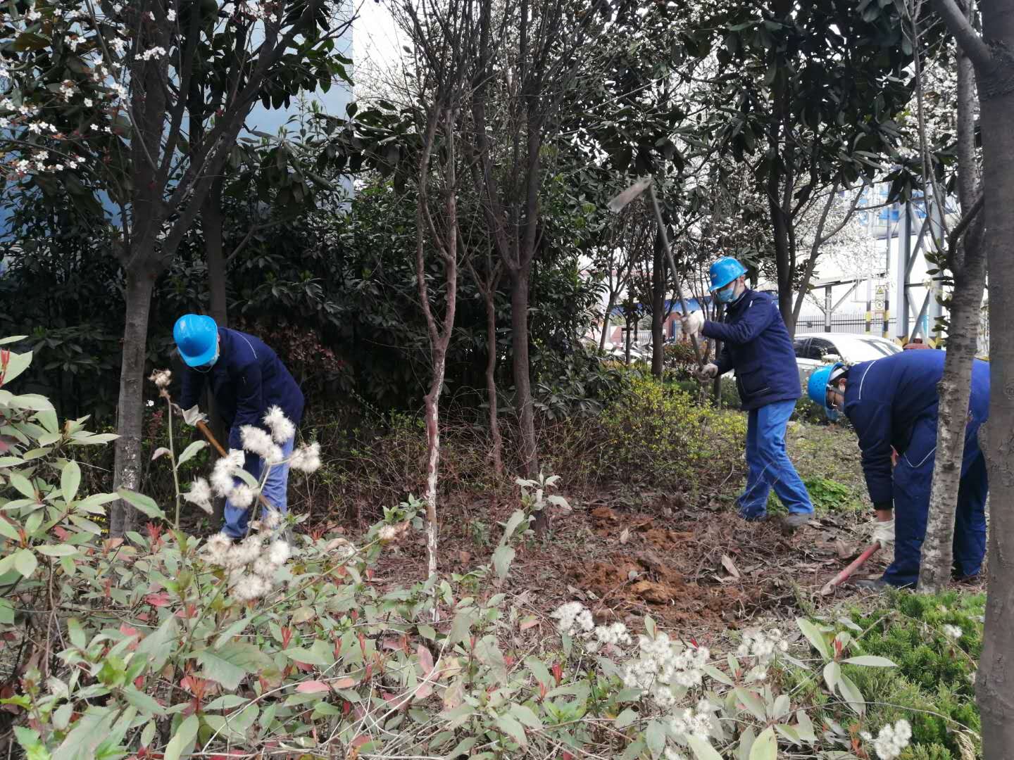 【美丽汉钢】公司春季绿化美化工作开展如火如荼 【美丽汉钢】公司春季绿化美化工作开展如火如荼