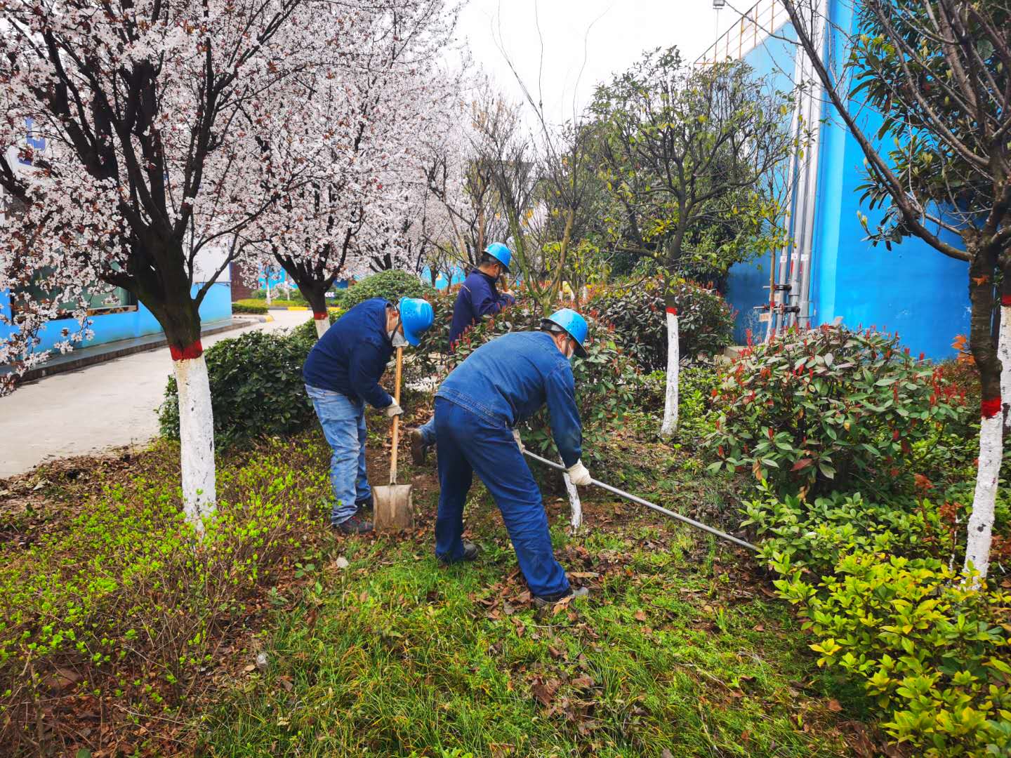 【美丽汉钢】公司春季绿化美化工作开展如火如荼 【美丽汉钢】公司春季绿化美化工作开展如火如荼