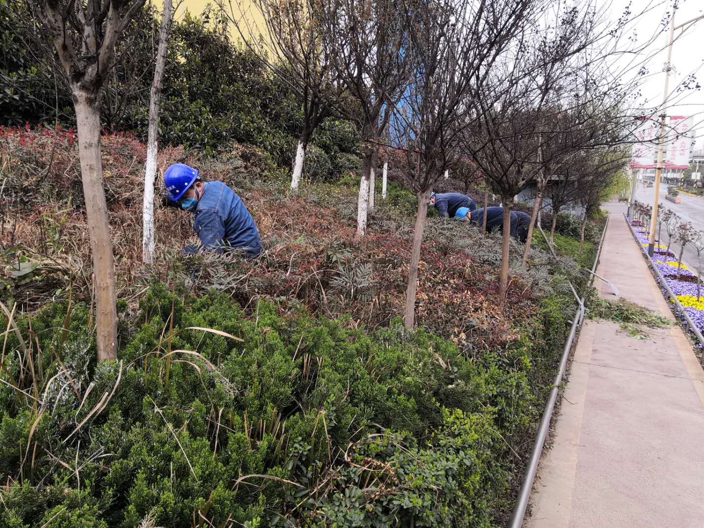 【美丽汉钢】公司春季绿化美化工作开展如火如荼 【美丽汉钢】公司春季绿化美化工作开展如火如荼