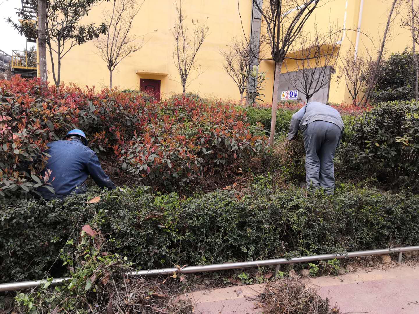 【美丽汉钢】公司春季绿化美化工作开展如火如荼 【美丽汉钢】公司春季绿化美化工作开展如火如荼