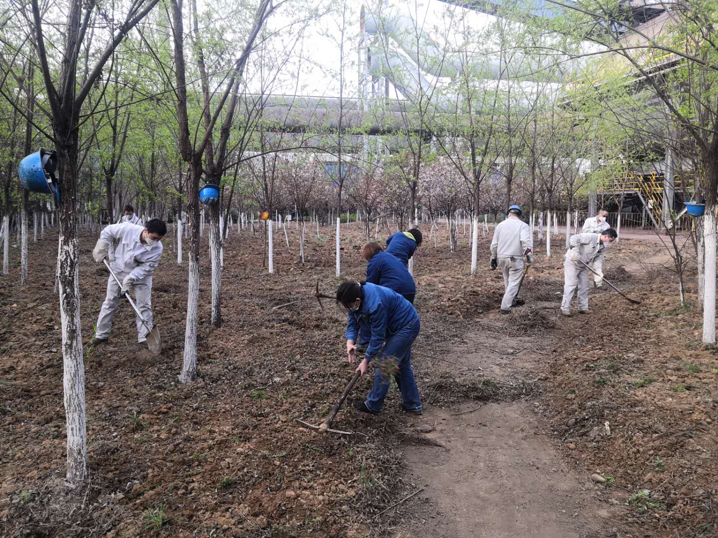 【美丽汉钢】公司春季绿化美化工作开展如火如荼 【美丽汉钢】公司春季绿化美化工作开展如火如荼