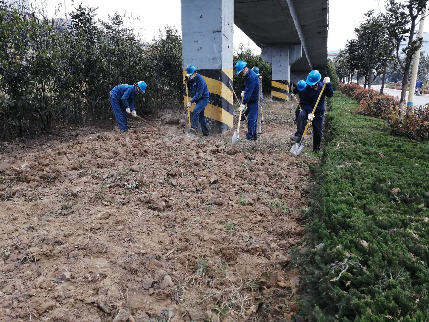 【美丽汉钢】公司春季绿化美化工作开展如火如荼 【美丽汉钢】公司春季绿化美化工作开展如火如荼