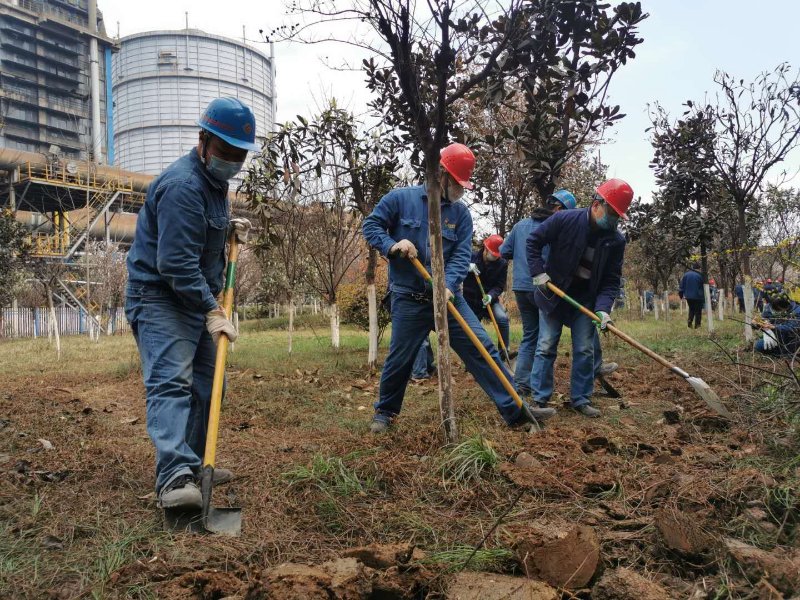 【美丽汉钢】公司春季绿化美化工作开展如火如荼 【美丽汉钢】公司春季绿化美化工作开展如火如荼
