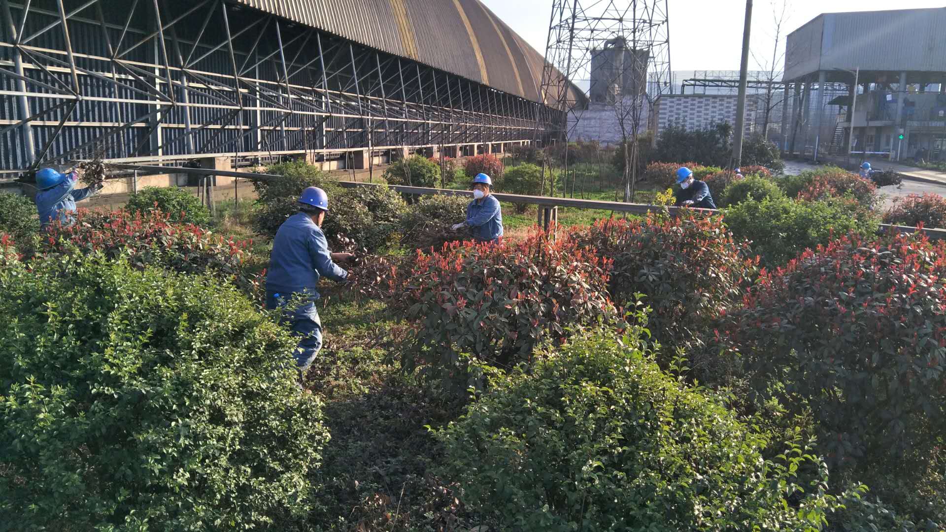 【美丽汉钢】公司春季绿化美化工作开展如火如荼 【美丽汉钢】公司春季绿化美化工作开展如火如荼