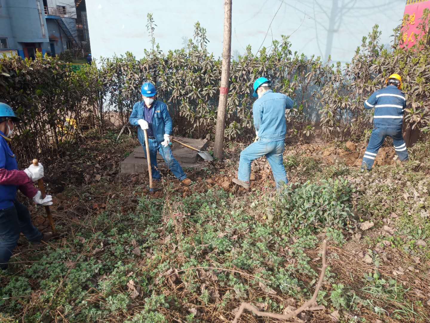 【美丽汉钢】公司春季绿化美化工作开展如火如荼 【美丽汉钢】公司春季绿化美化工作开展如火如荼