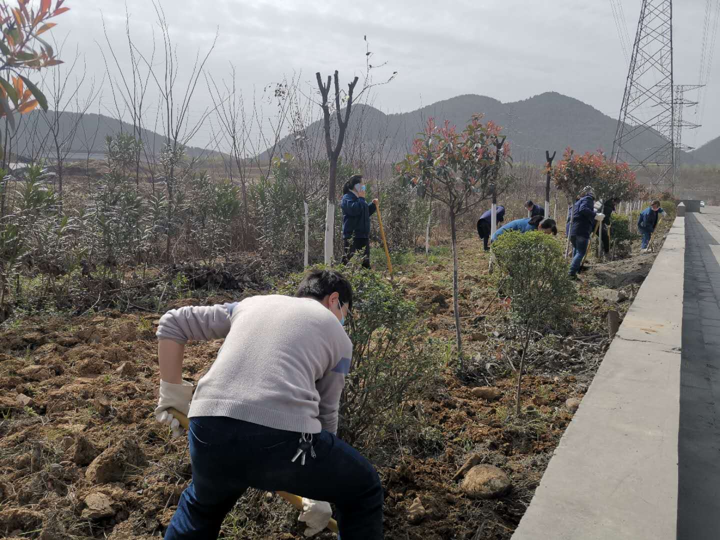【美丽汉钢】公司春季绿化美化工作开展如火如荼 【美丽汉钢】公司春季绿化美化工作开展如火如荼