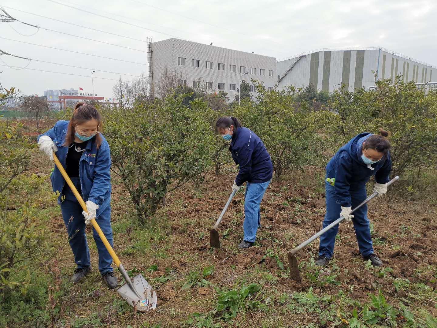 【美丽汉钢】公司春季绿化美化工作开展如火如荼 【美丽汉钢】公司春季绿化美化工作开展如火如荼