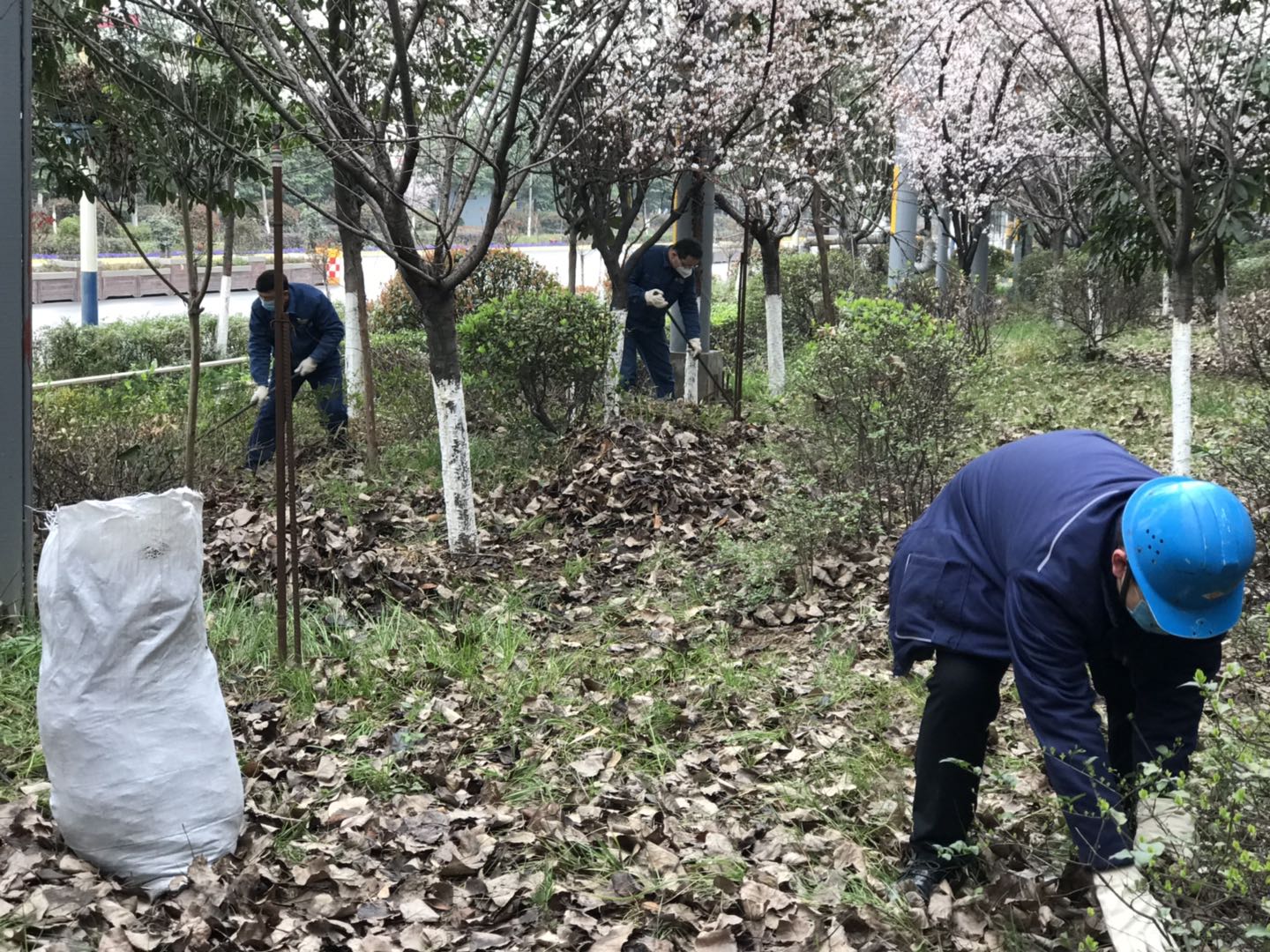 【美丽汉钢】公司春季绿化美化工作开展如火如荼 【美丽汉钢】公司春季绿化美化工作开展如火如荼