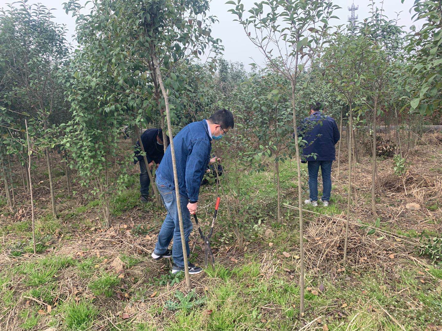 【美丽汉钢】公司春季绿化美化工作开展如火如荼 【美丽汉钢】公司春季绿化美化工作开展如火如荼