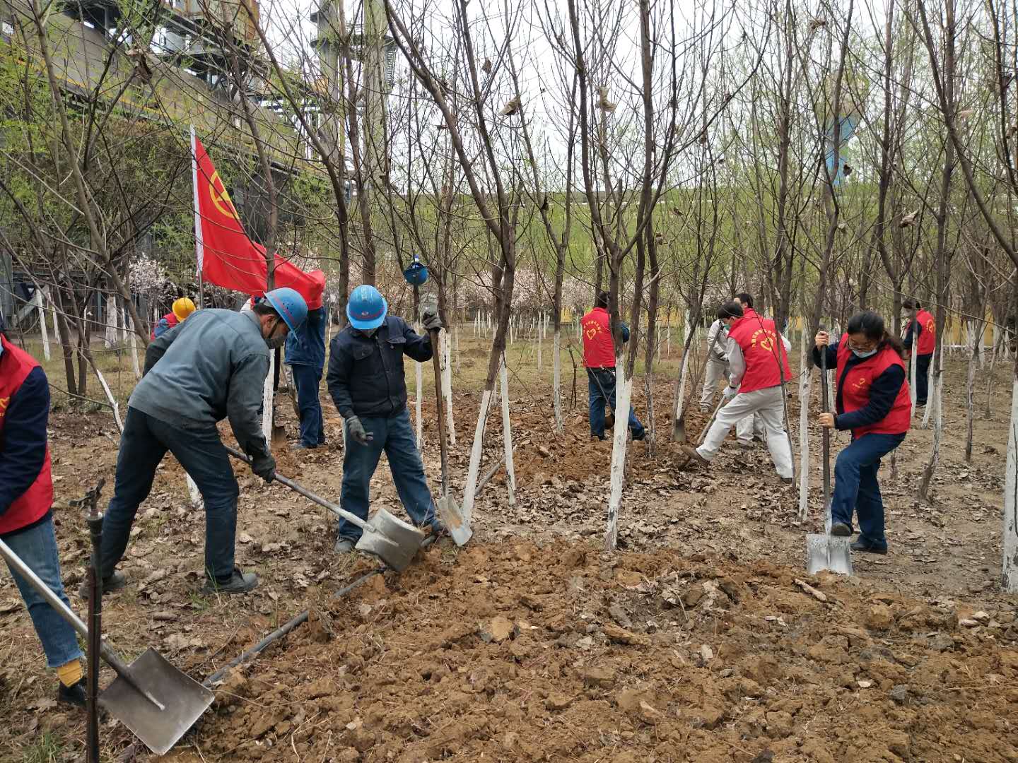 【美丽汉钢】公司春季绿化美化工作开展如火如荼 【美丽汉钢】公司春季绿化美化工作开展如火如荼