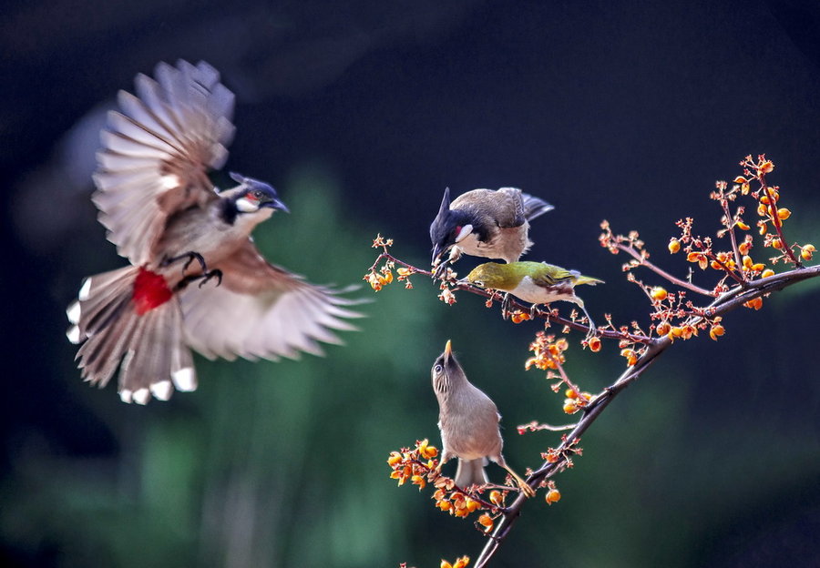 【钢城文苑】在这不寻常的春天里 【钢城文苑】在这不寻常的春天里