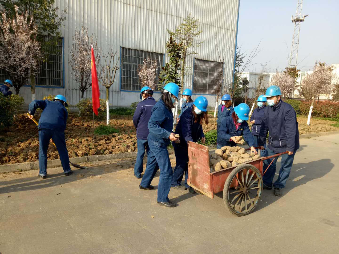 【美丽汉钢】植树节,我们在行动 【美丽汉钢】植树节,我们在行动