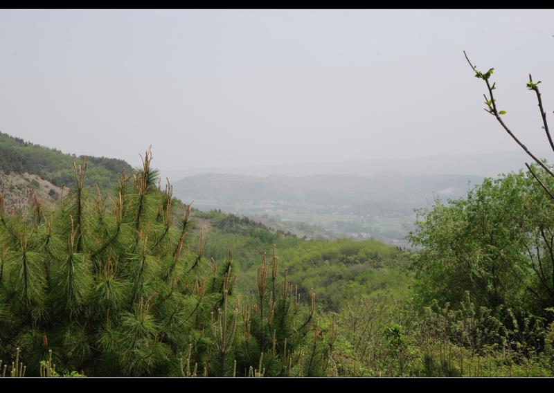 【钢城文苑】定军山游记 【钢城文苑】定军山游记