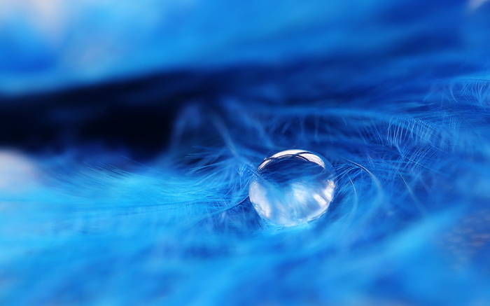 【钢城文苑】上善若水 ——在世界水日的一些感想 【钢城文苑】上善若水 ——在世界水日的一些感想