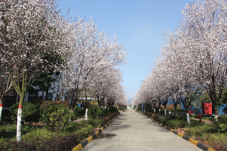 【美丽汉钢】用节能环保点亮汉水之滨最美“现代花园”
