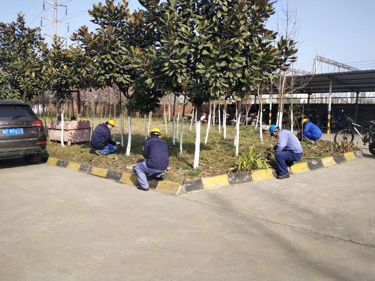 【钢城文苑】除草护绿 为春添彩 【钢城文苑】除草护绿 为春添彩