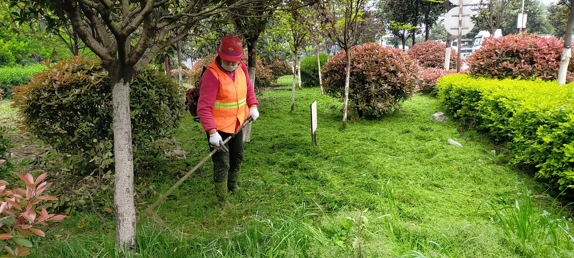 【美丽汉钢】公司多措并举 做好春季绿化苗木养护工作 【美丽汉钢】公司多措并举 做好春季绿化苗木养护工作