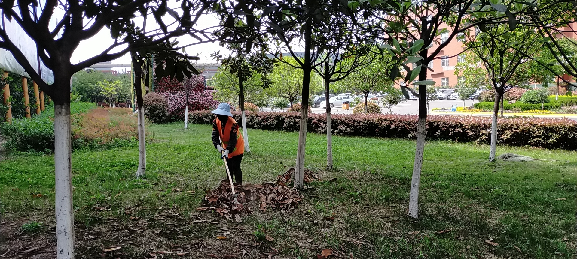 【美丽汉钢】公司多措并举 做好春季绿化苗木养护工作 【美丽汉钢】公司多措并举 做好春季绿化苗木养护工作