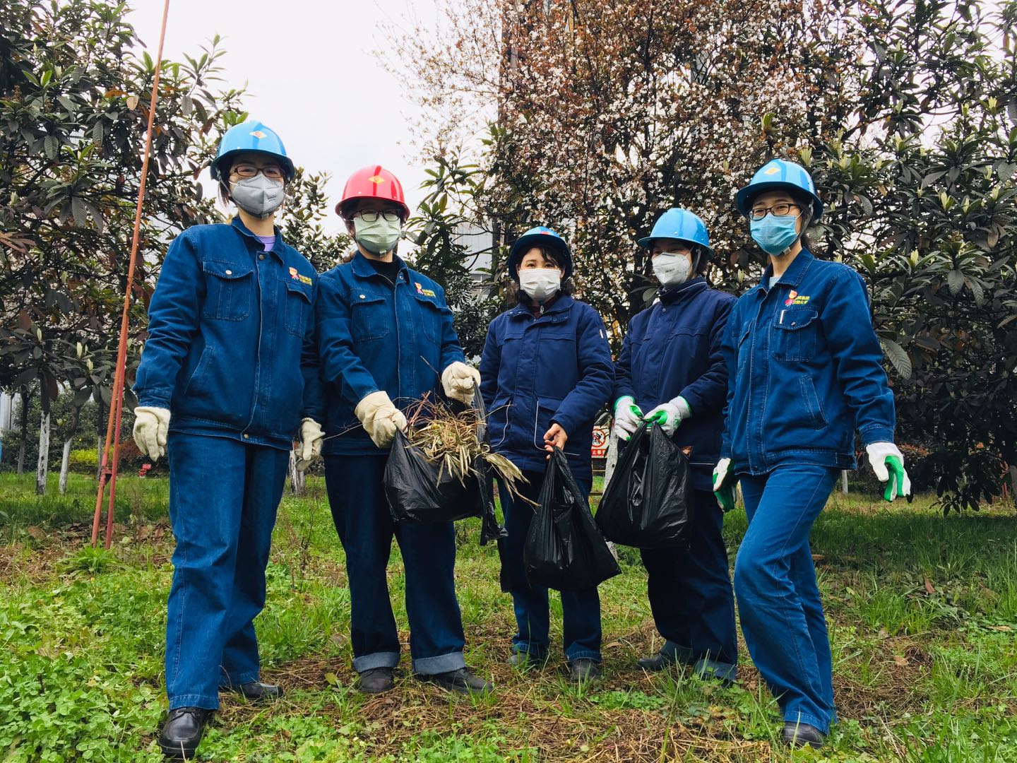 【美丽汉钢】公司多措并举 做好春季绿化苗木养护工作 【美丽汉钢】公司多措并举 做好春季绿化苗木养护工作