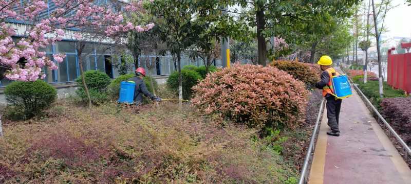 【美丽汉钢】公司多措并举 做好春季绿化苗木养护工作 【美丽汉钢】公司多措并举 做好春季绿化苗木养护工作