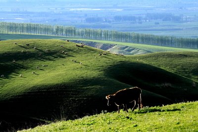 【钢城文苑】最美人间四月天 【钢城文苑】最美人间四月天