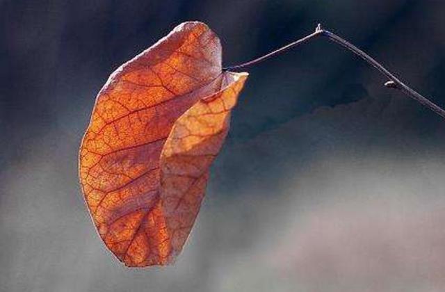 【钢城文苑】安全之我见