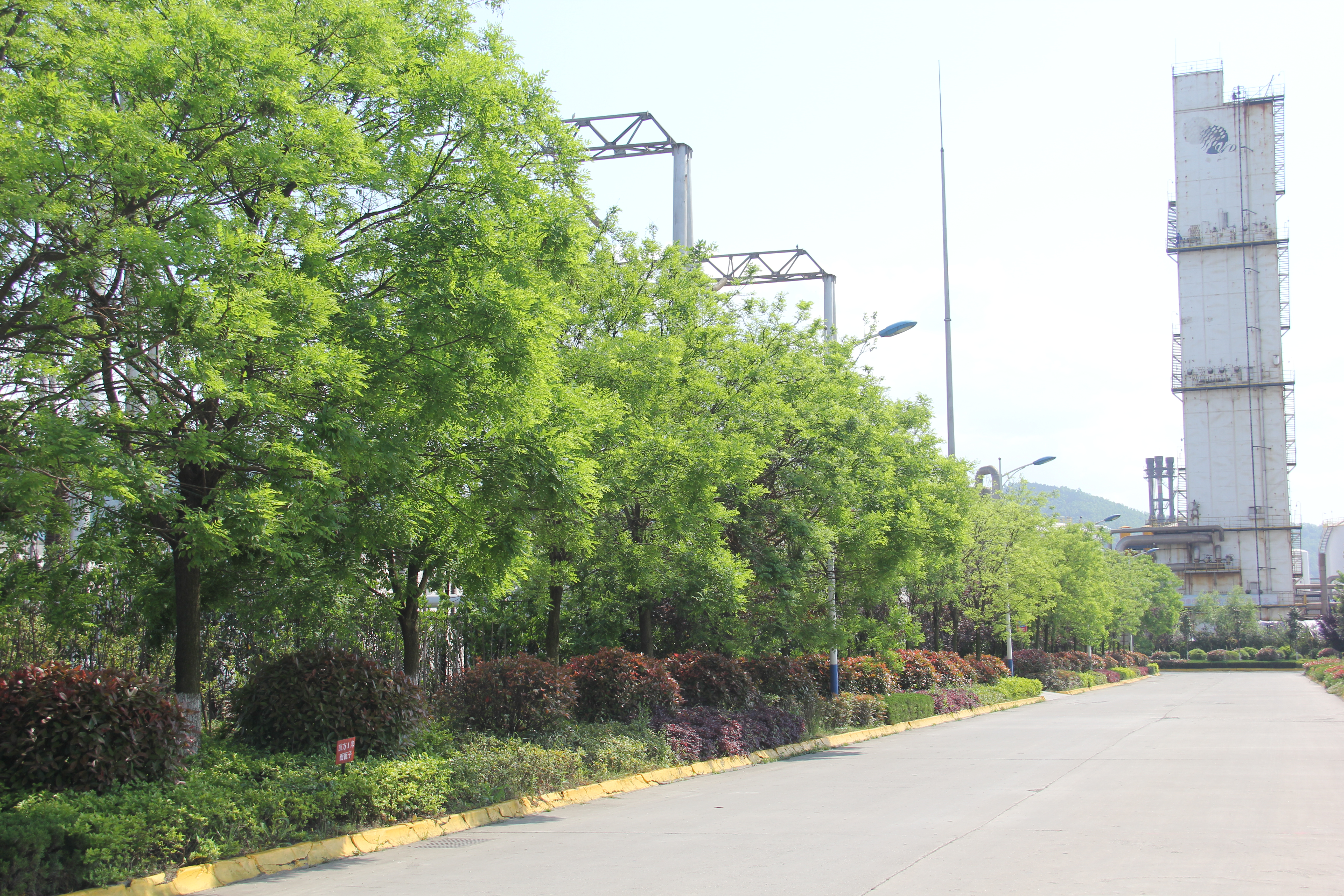 【美丽汉钢】醉美汉钢四月天