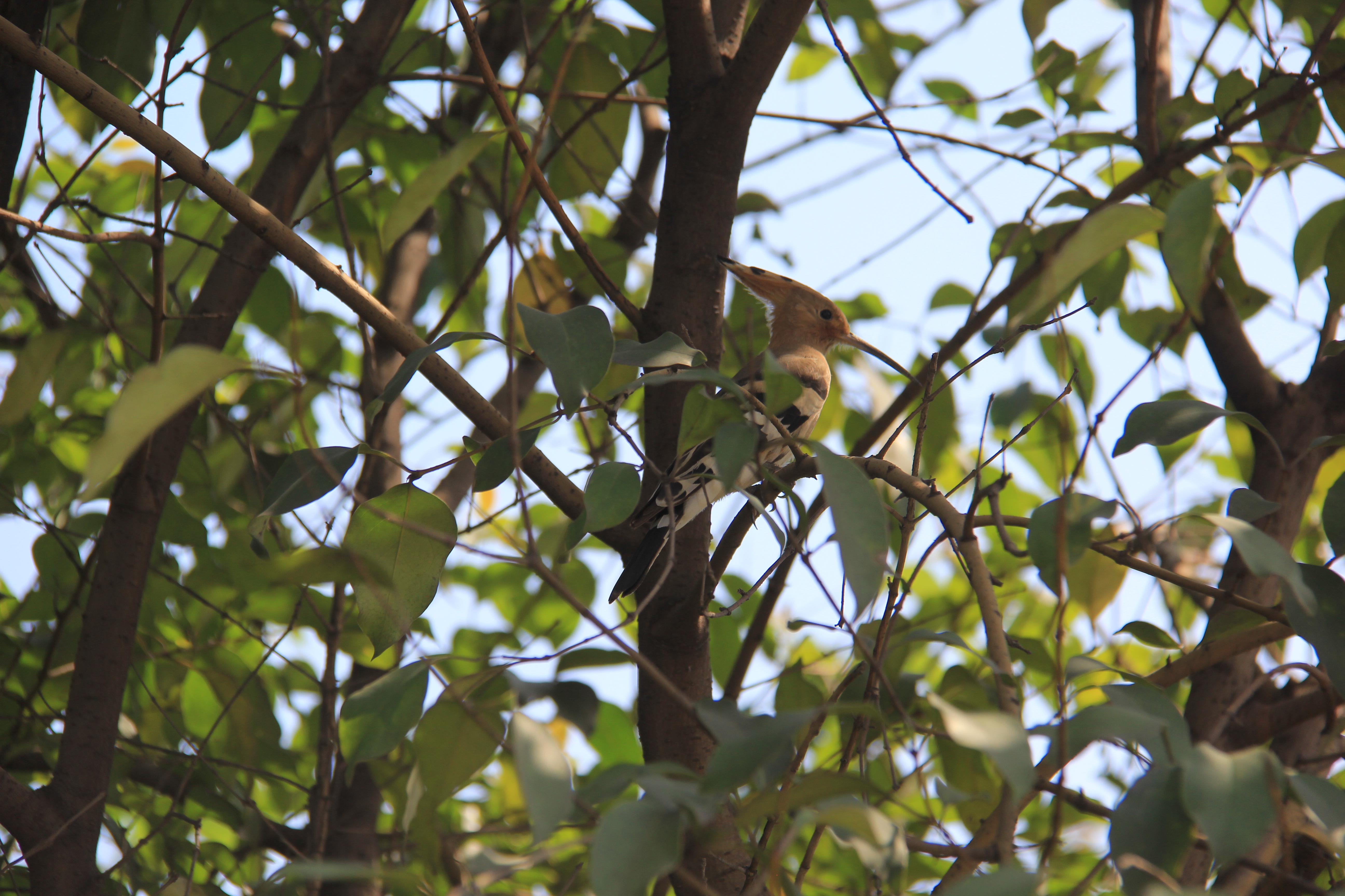 【美丽汉钢】醉美汉钢四月天