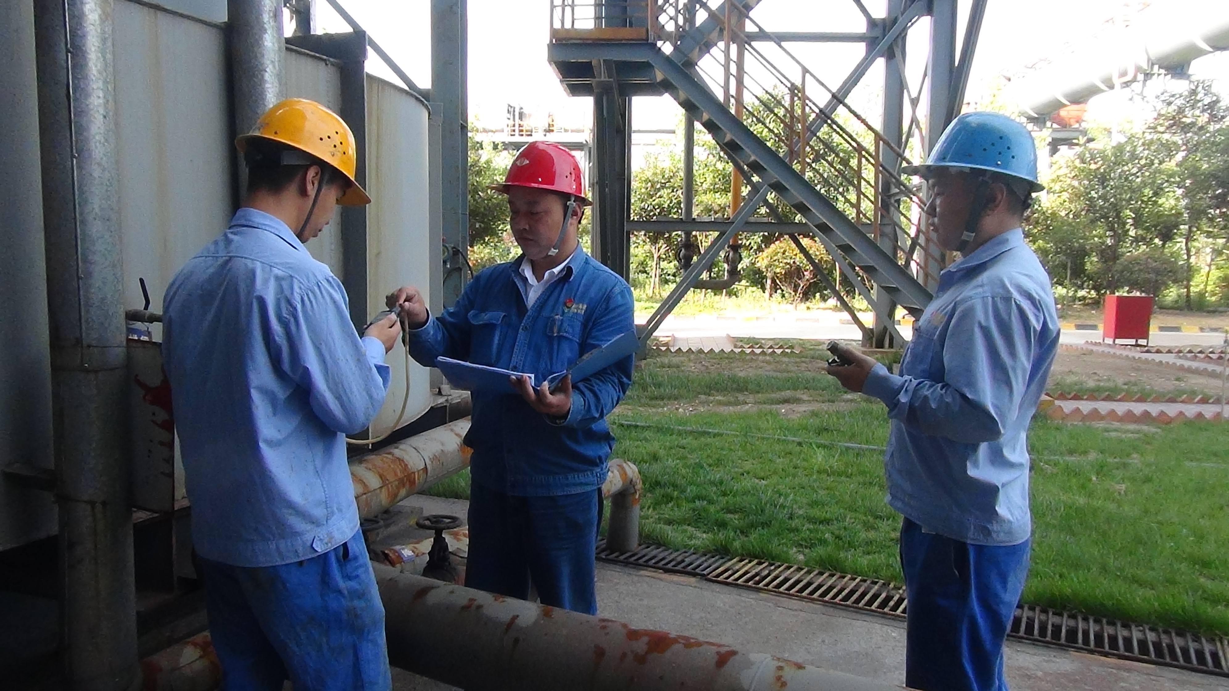 【先进典型】人生也可以这样叙写——记汉中市青年科技奖获奖者王茹桂