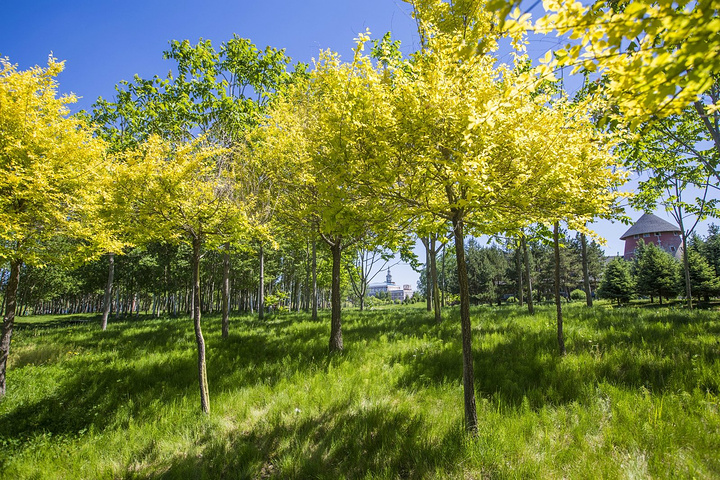 初夏时节 初夏时节