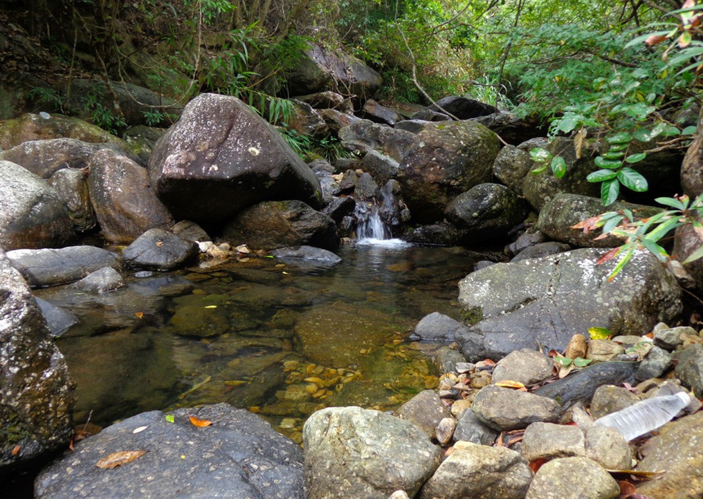 【钢城文苑】“偷瓜”的夏天