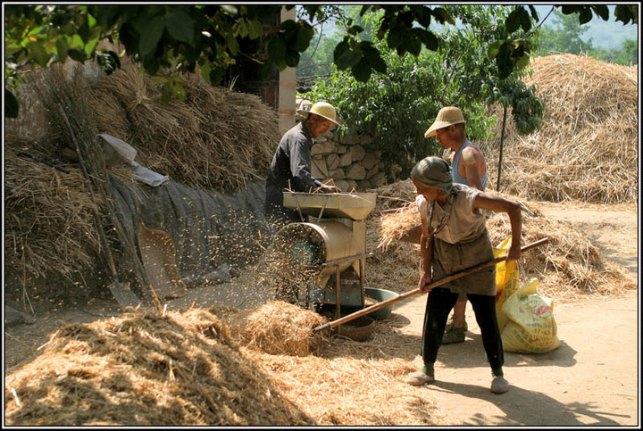 【钢城文苑】如期而至,农忙正当时 【钢城文苑】如期而至,农忙正当时