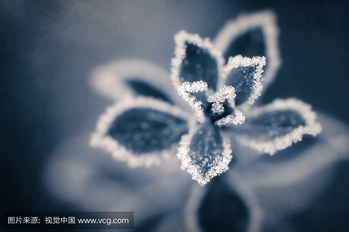 【钢城文苑】我是雪花 我是雨滴 【钢城文苑】我是雪花 我是雨滴