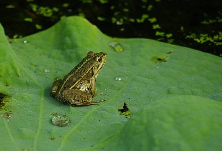 【钢城文苑】四季人生 处处美景