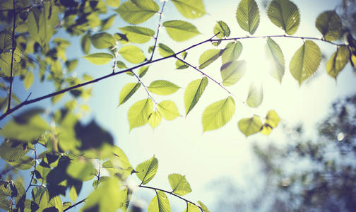 【钢城文苑】四季之境 【钢城文苑】四季之境