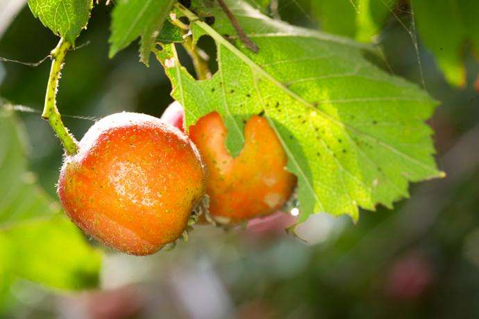 【钢城文苑】四季之境 【钢城文苑】四季之境